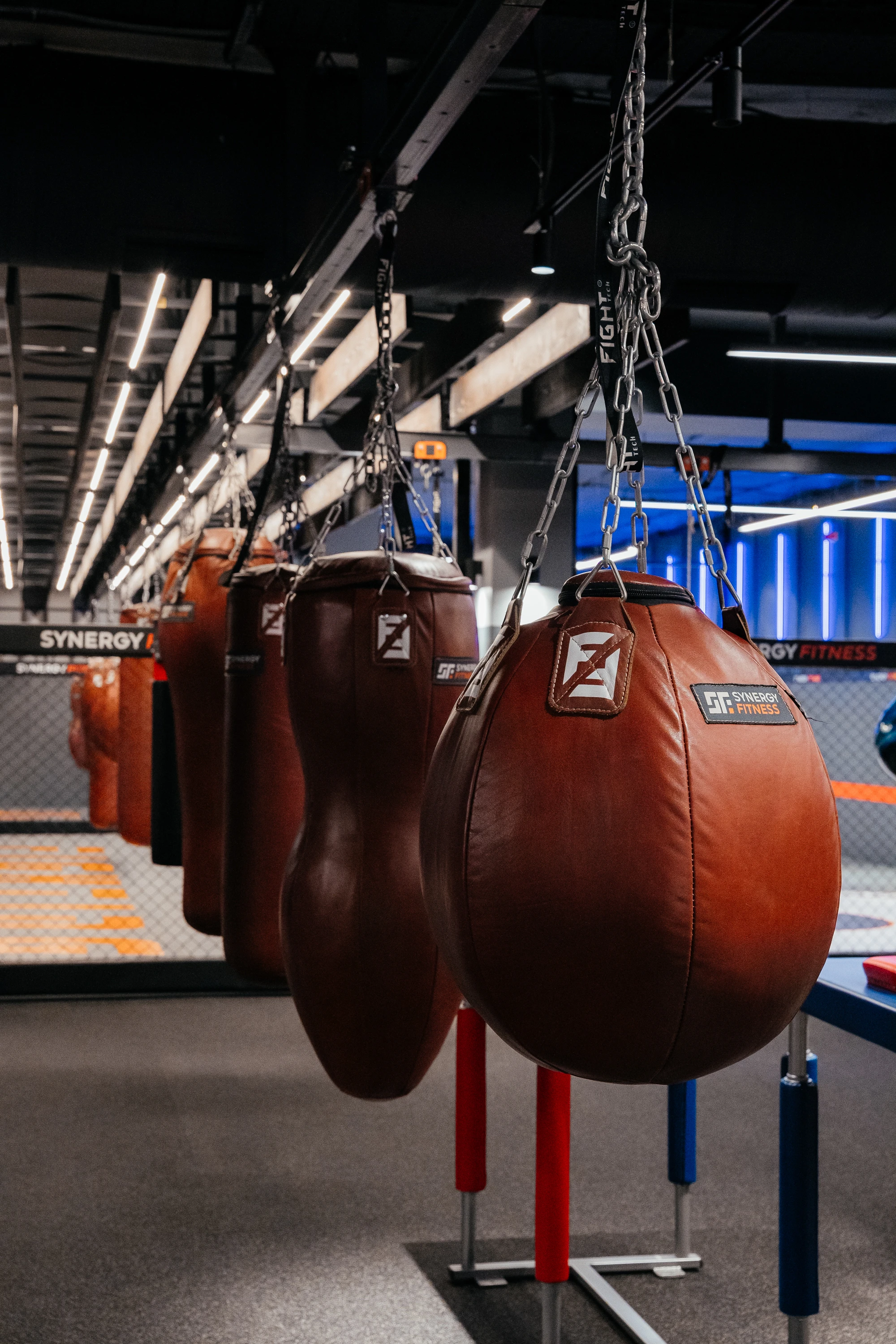 Тренування з боксу на рингу з тренером та спортсменом у залі Synergy Fitness